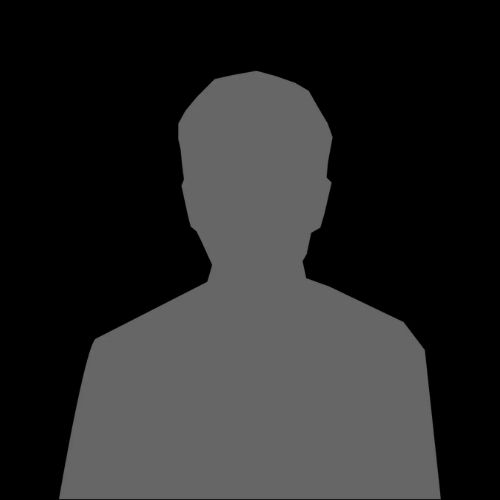 Team Member 2